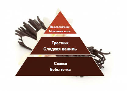 Портфолио