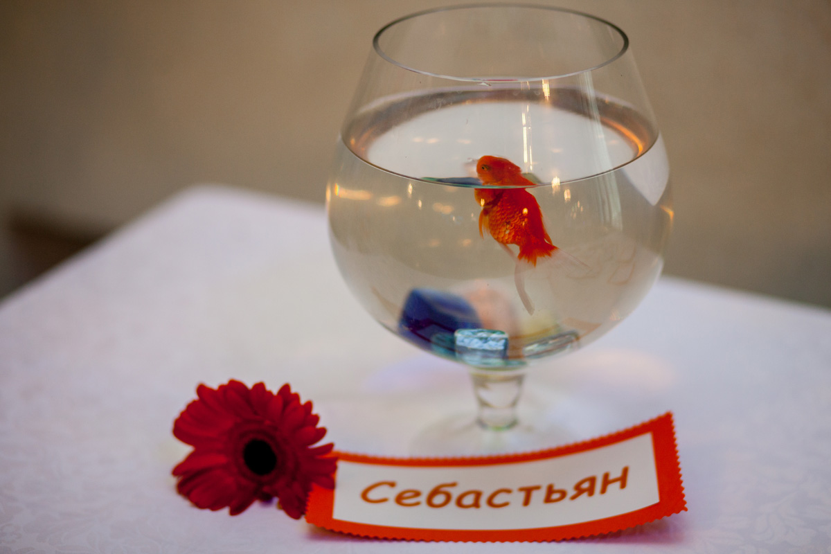 Свадебный отчёт