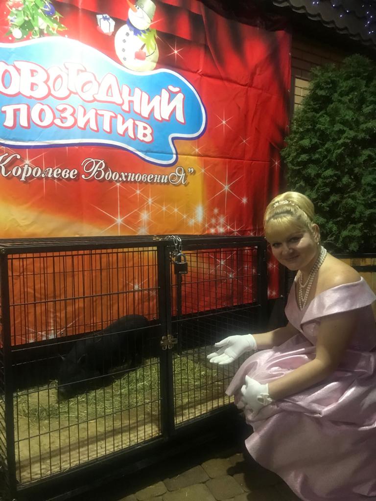 Корпаратив и Корпаратив