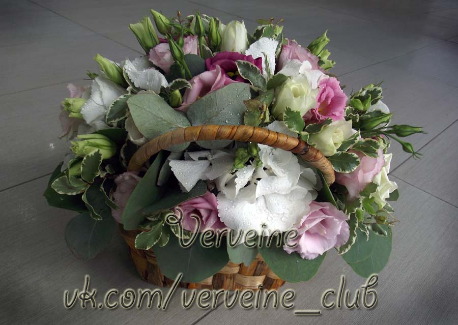 Verveine — кадр 3 из 50