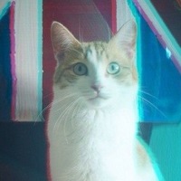 Платон Первый