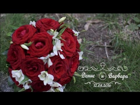 Портфолио: Свадьба