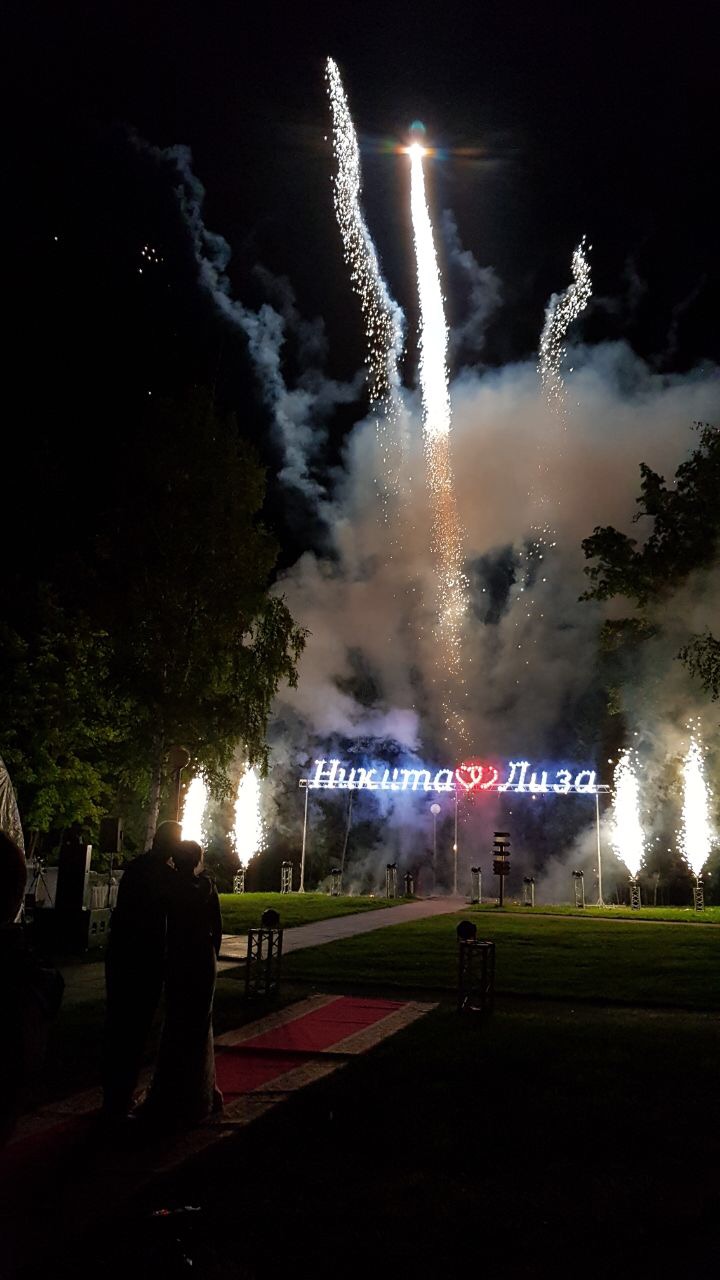 Елизавета и Никита