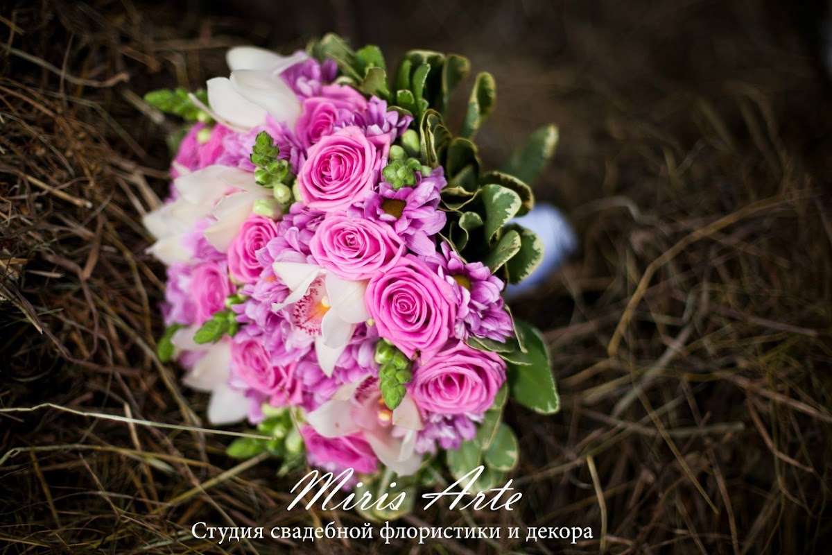 Портфолио