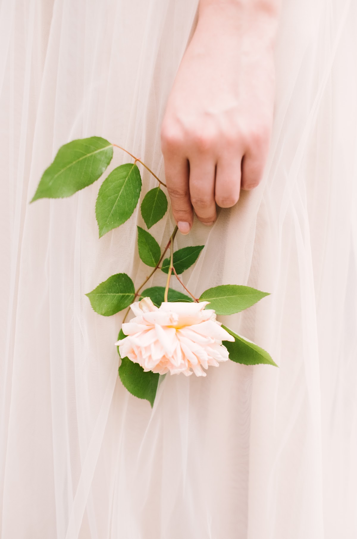 Портрет | Bring Me Flowers
