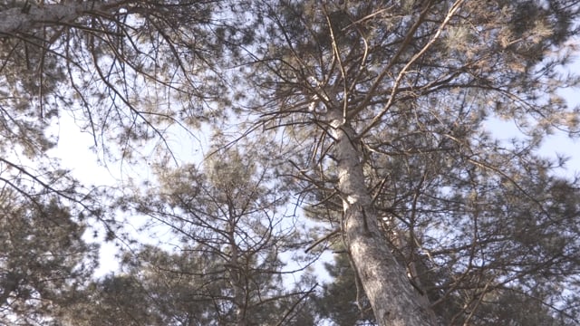 Портфолио: Love story