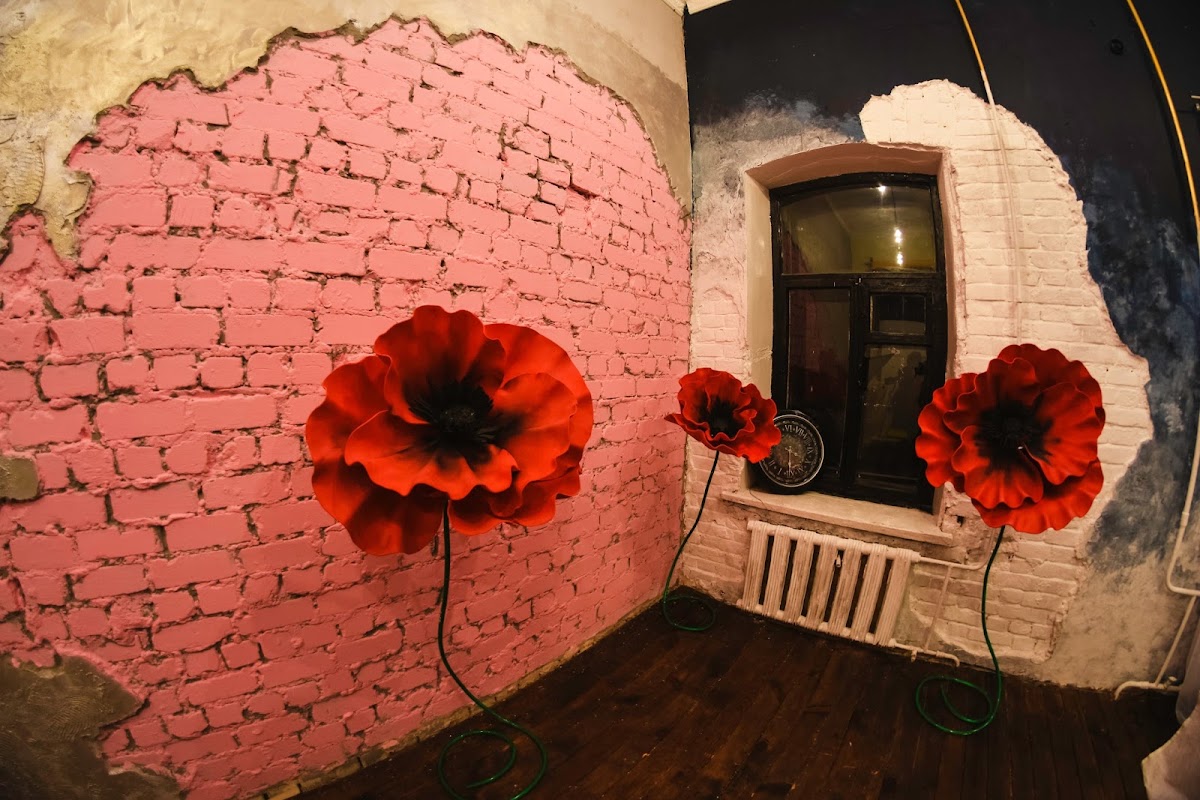 Фотографии