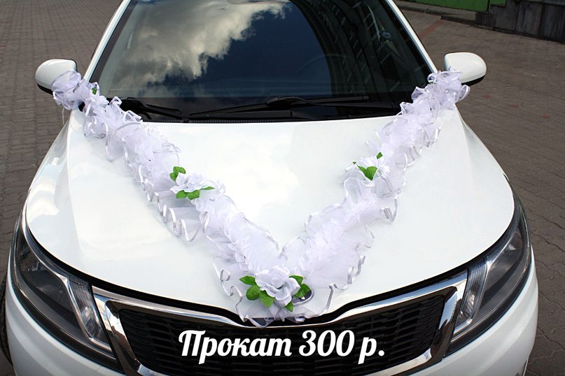 Кадр 65 из 154
