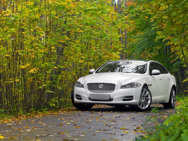 Ягуар XJ Long светлый салон