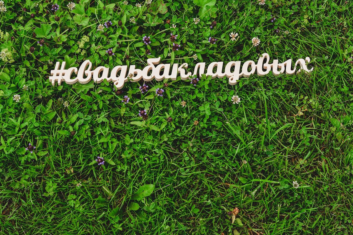 Портфолио