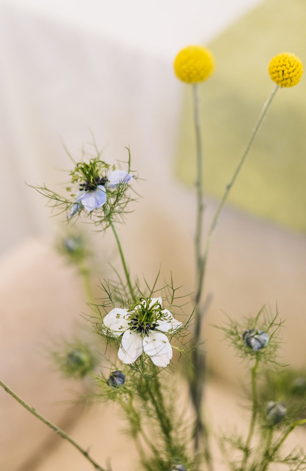 Garden Glass