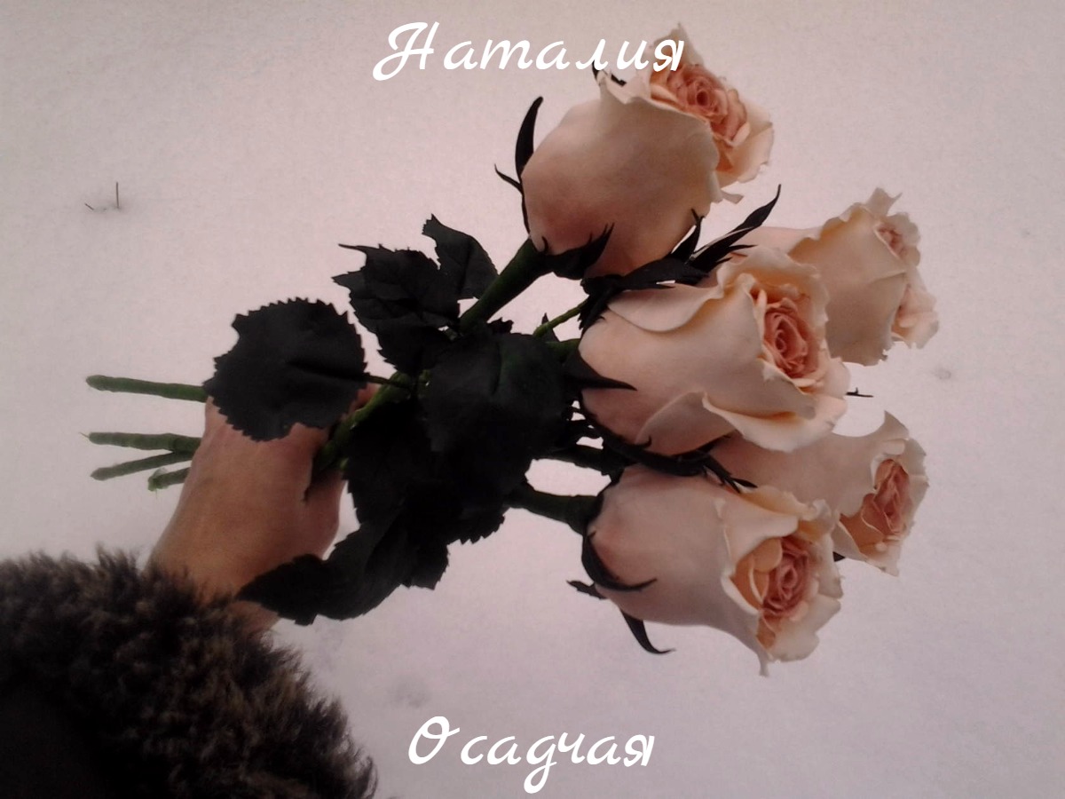 Кадр 67 из 103