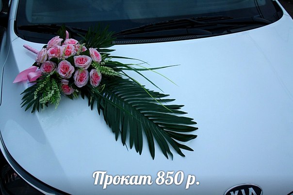 Кадр 84 из 154