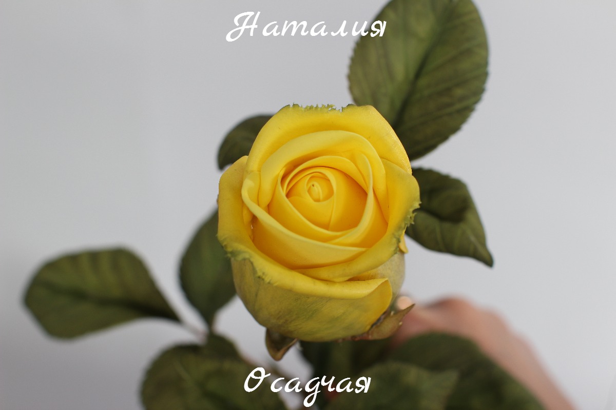Кадр 36 из 103