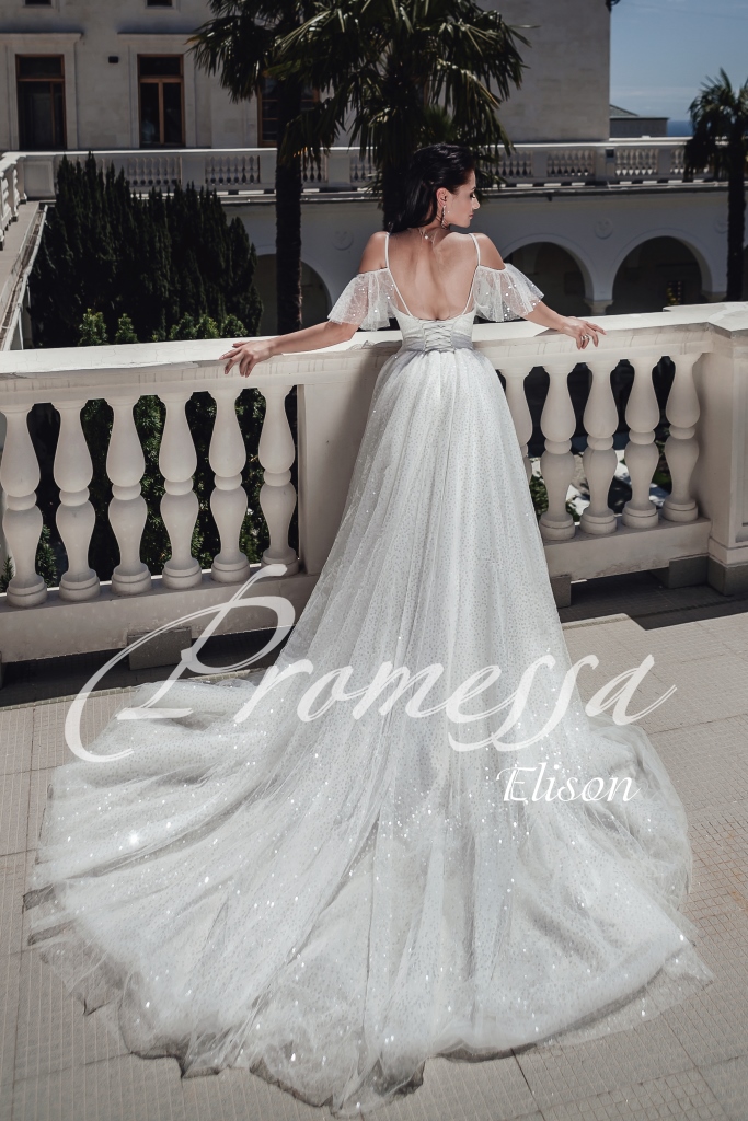 Elison — кадр 3 из 3