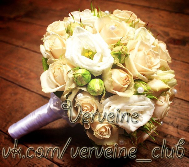 Verveine