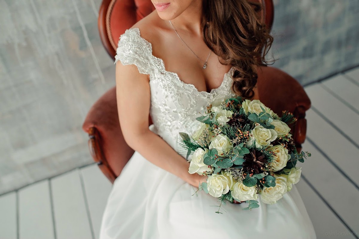 Primula