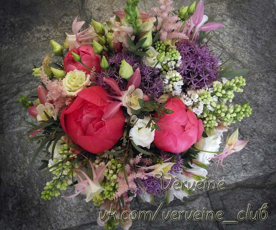 Verveine