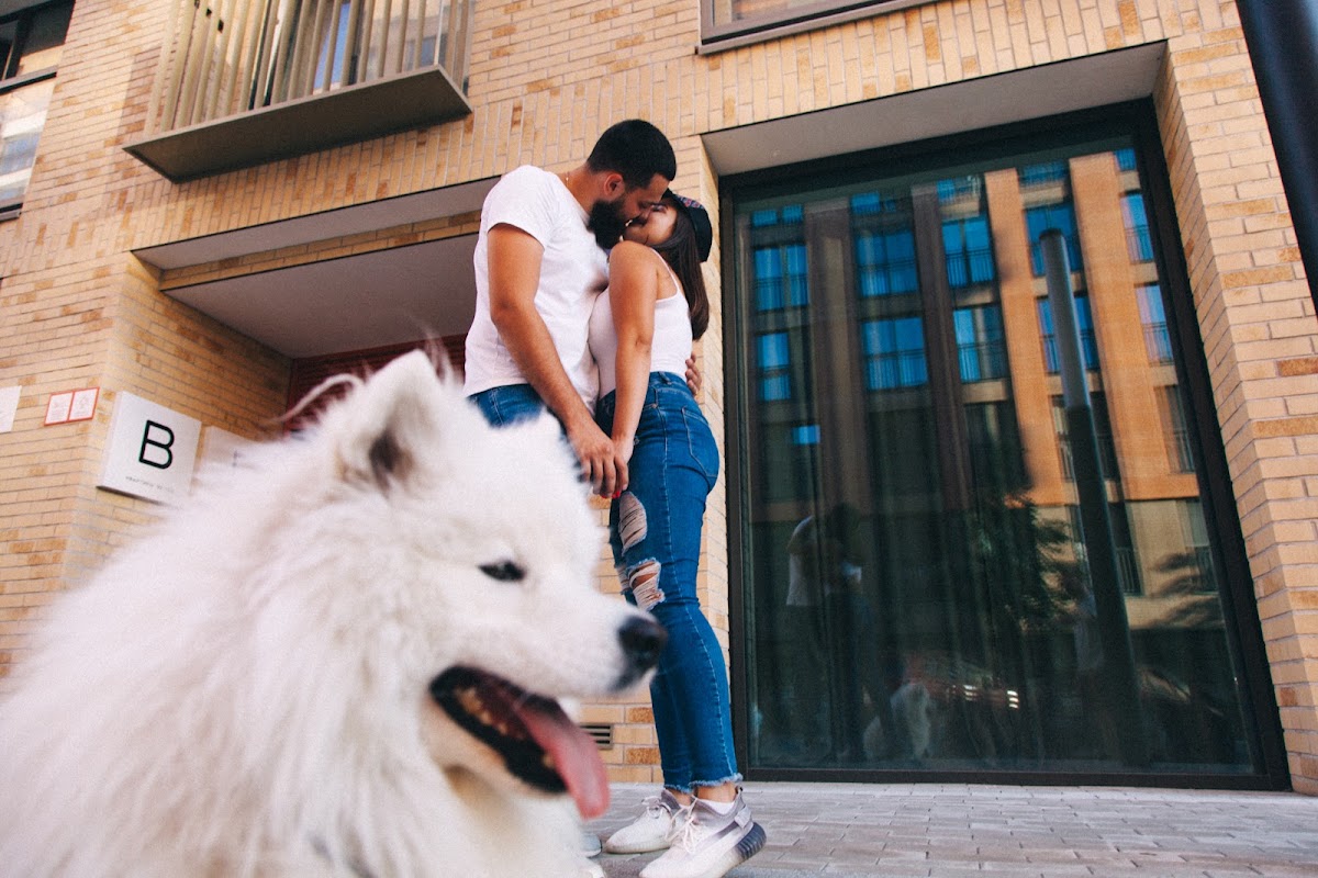Портфолио: Love story