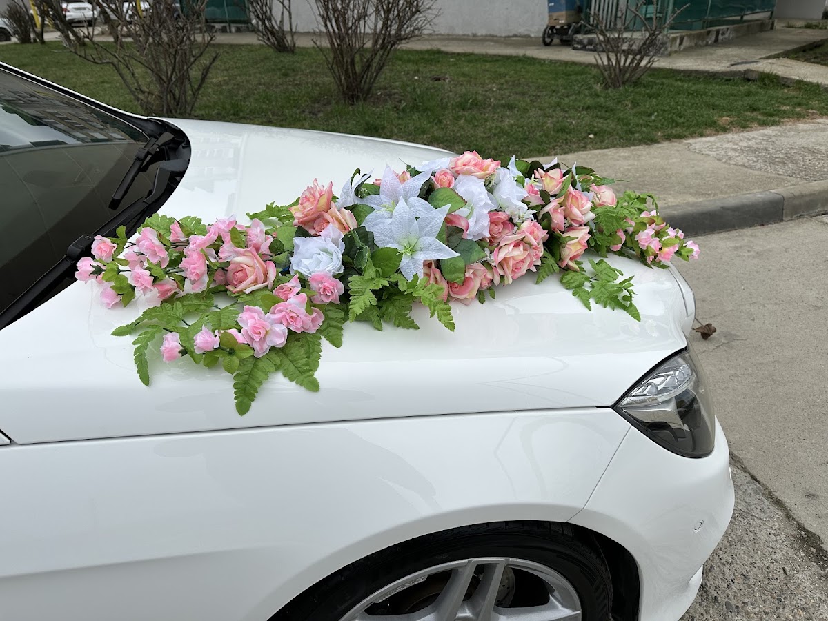 Фотографии