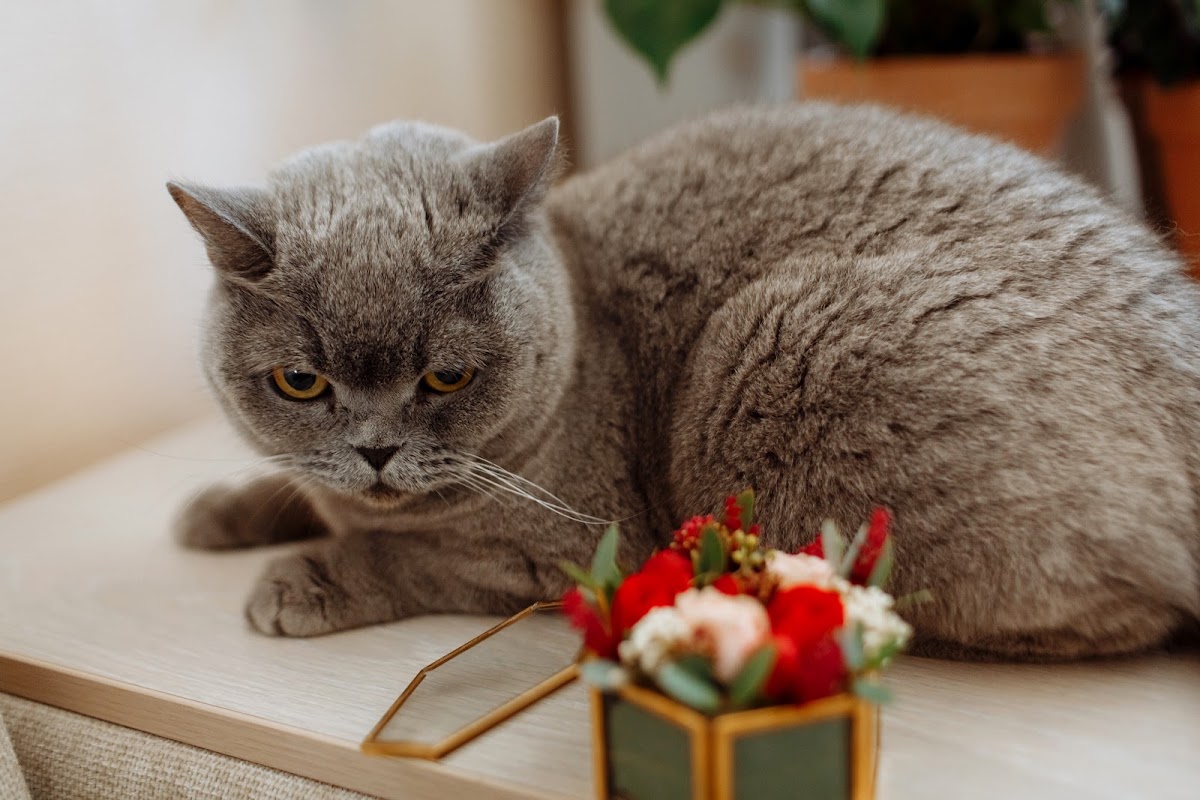 Олеся и Петр
