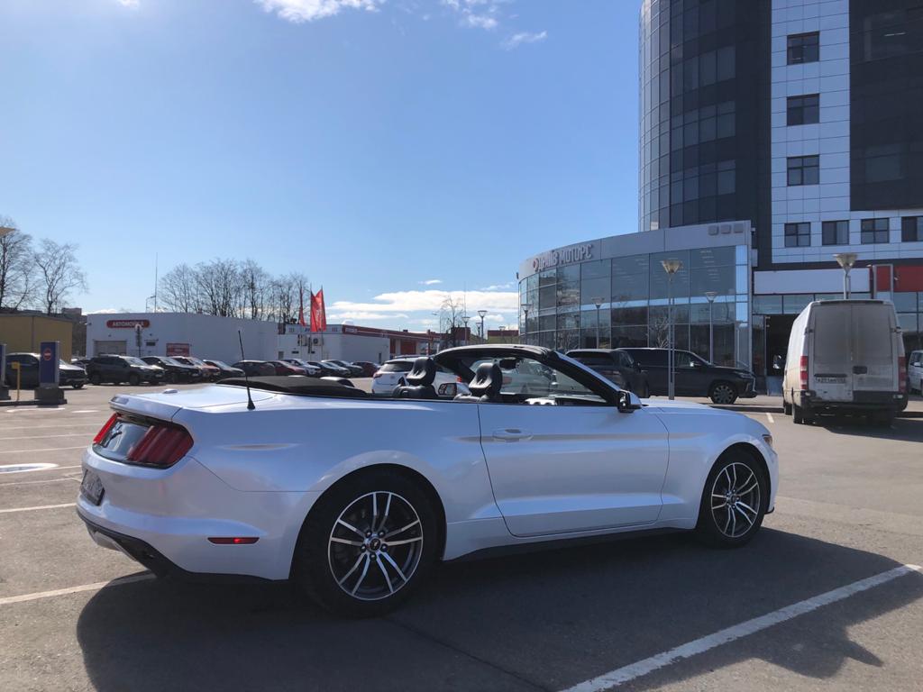 Ford Mustang — кадр 4 из 13