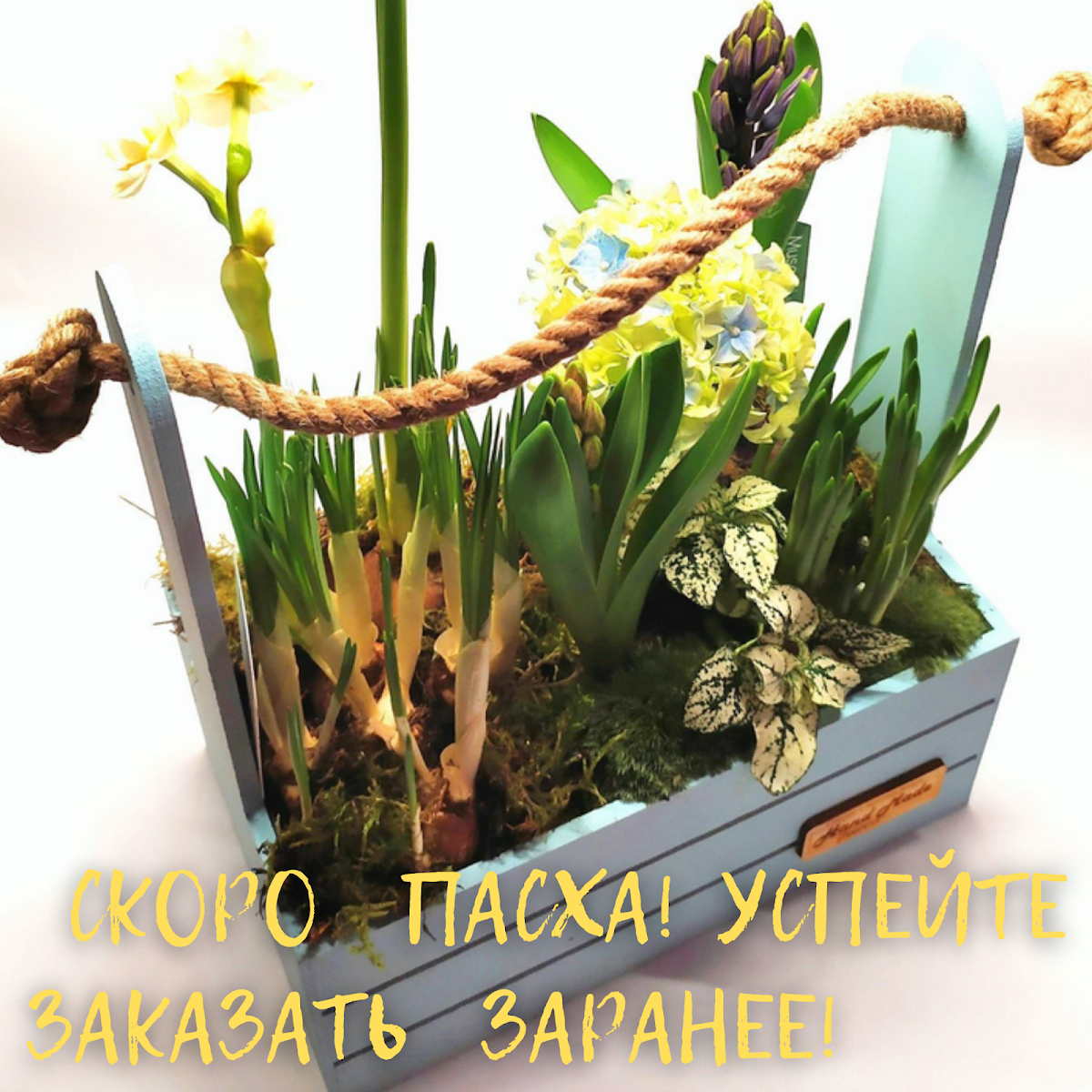 свадебная атмосфера