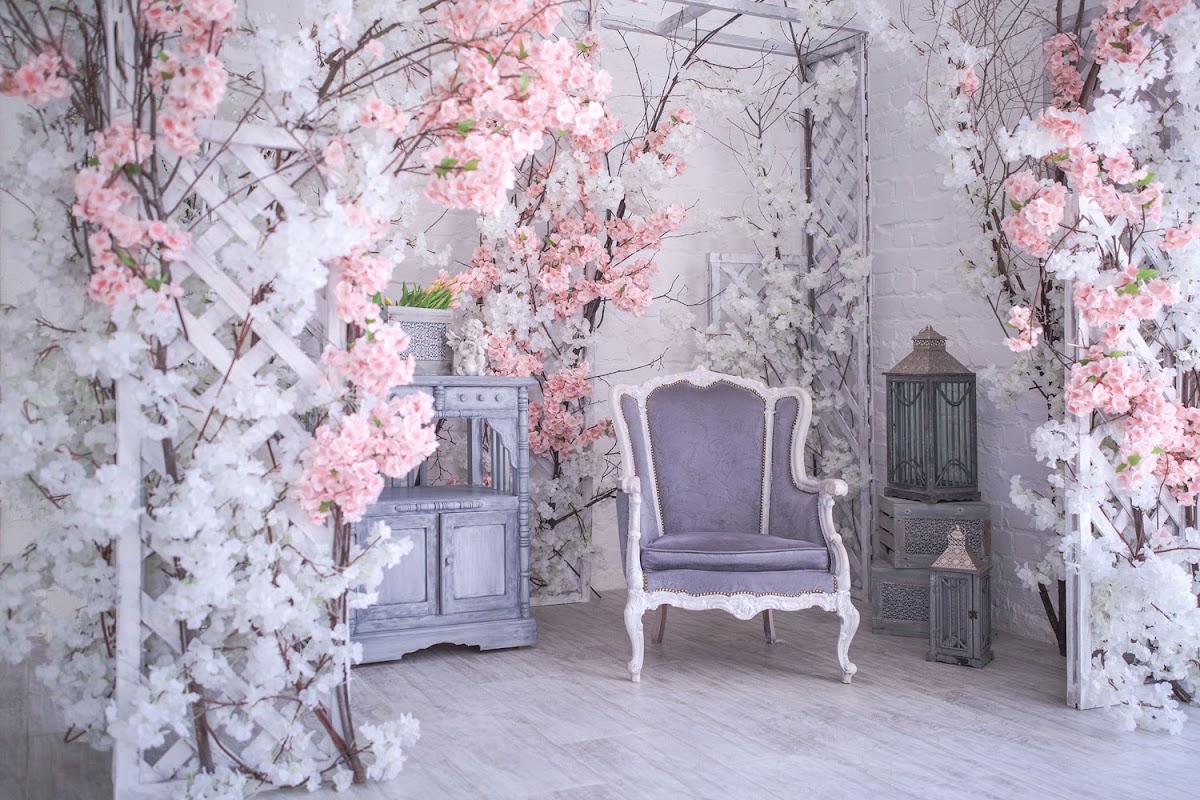 Портфолио