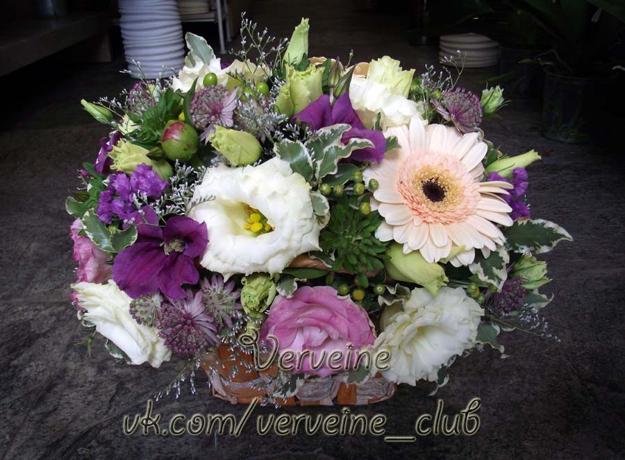 Verveine — кадр 4 из 50