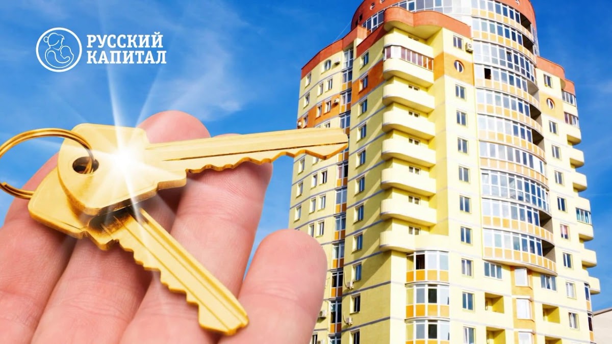 Портфолио: Реклама