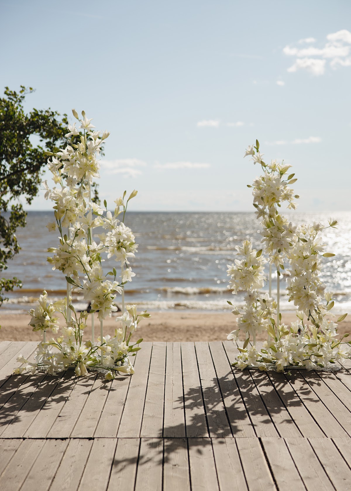 Фотографии