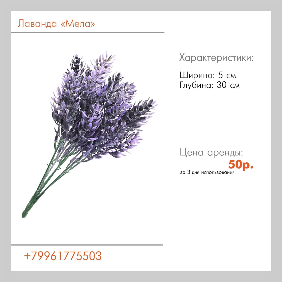 Цветы