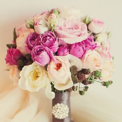 Amore+Fiori