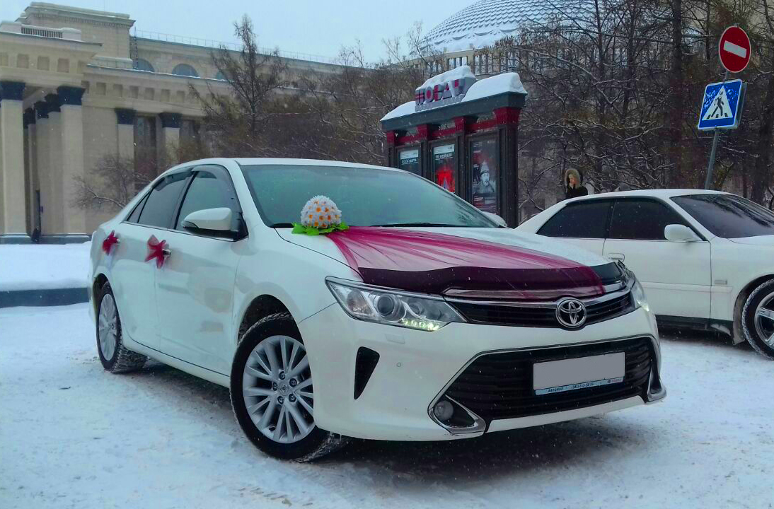 Фотографии