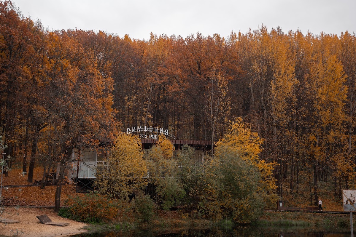 Фотогалерея ресторана