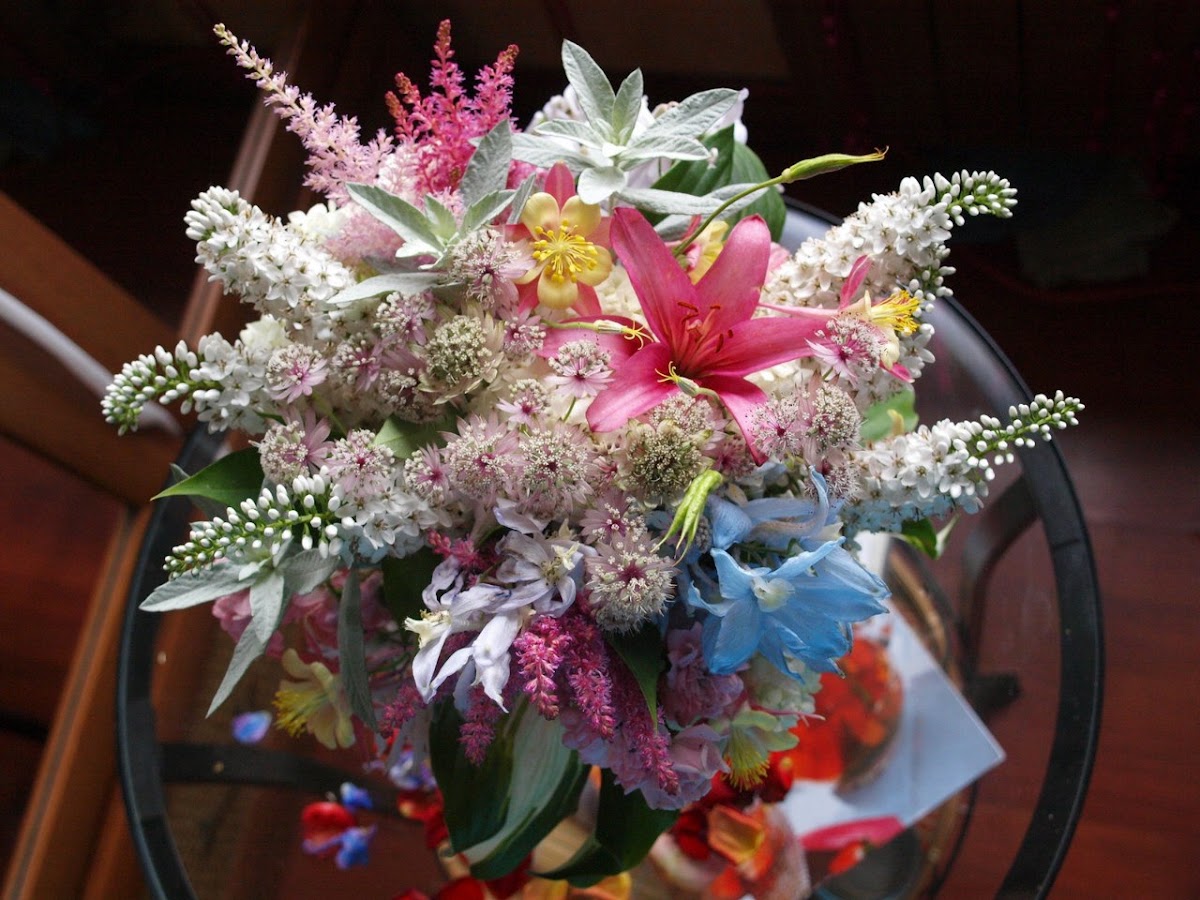 Peach Flower