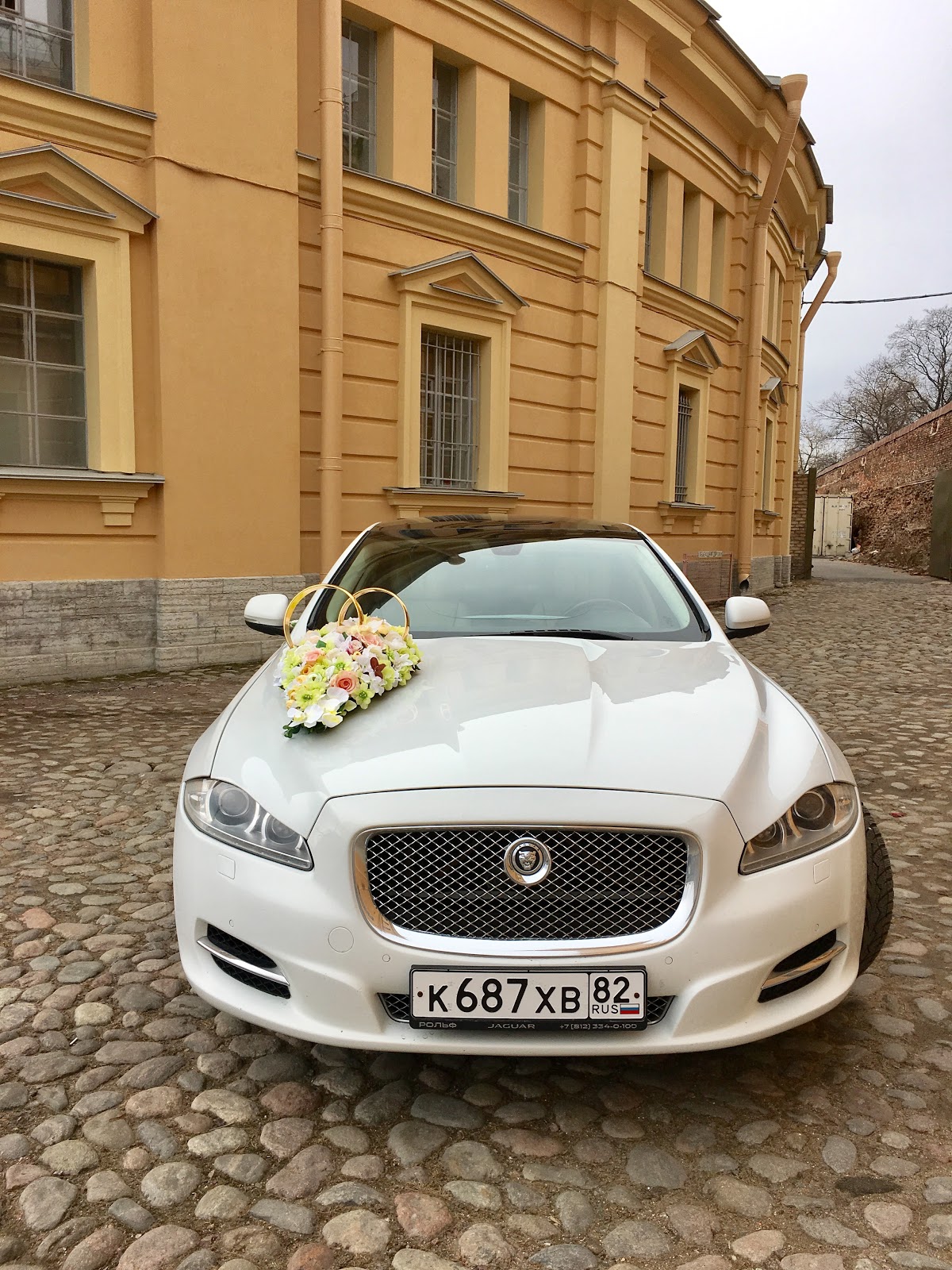 Фотографии