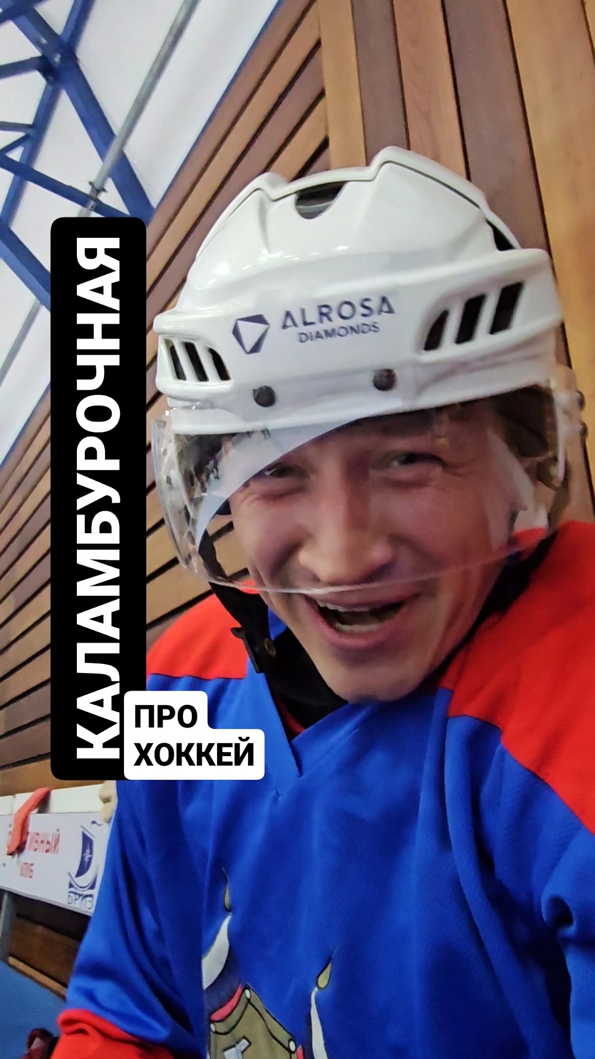 Мои интересы