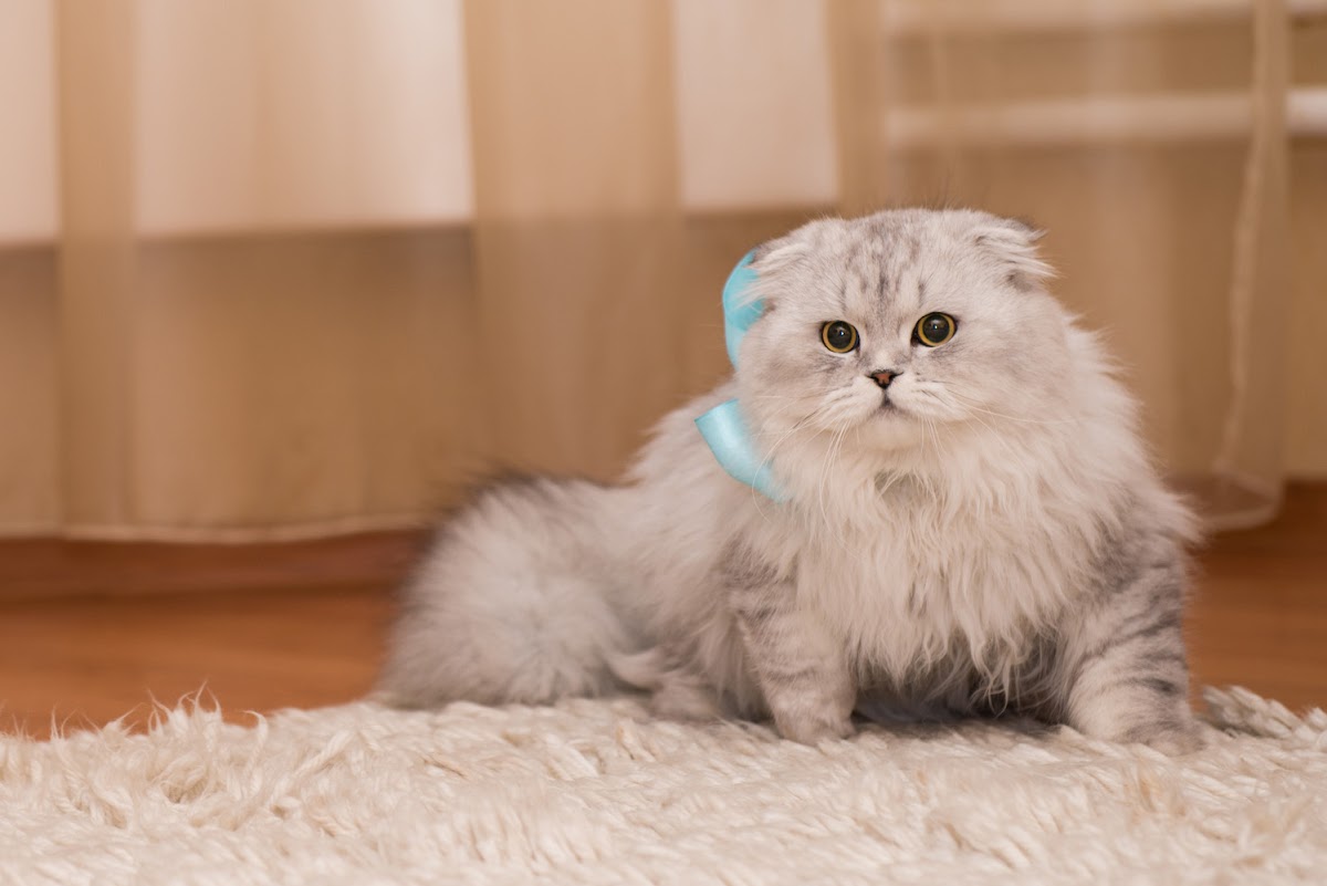 Свадебный отчёт