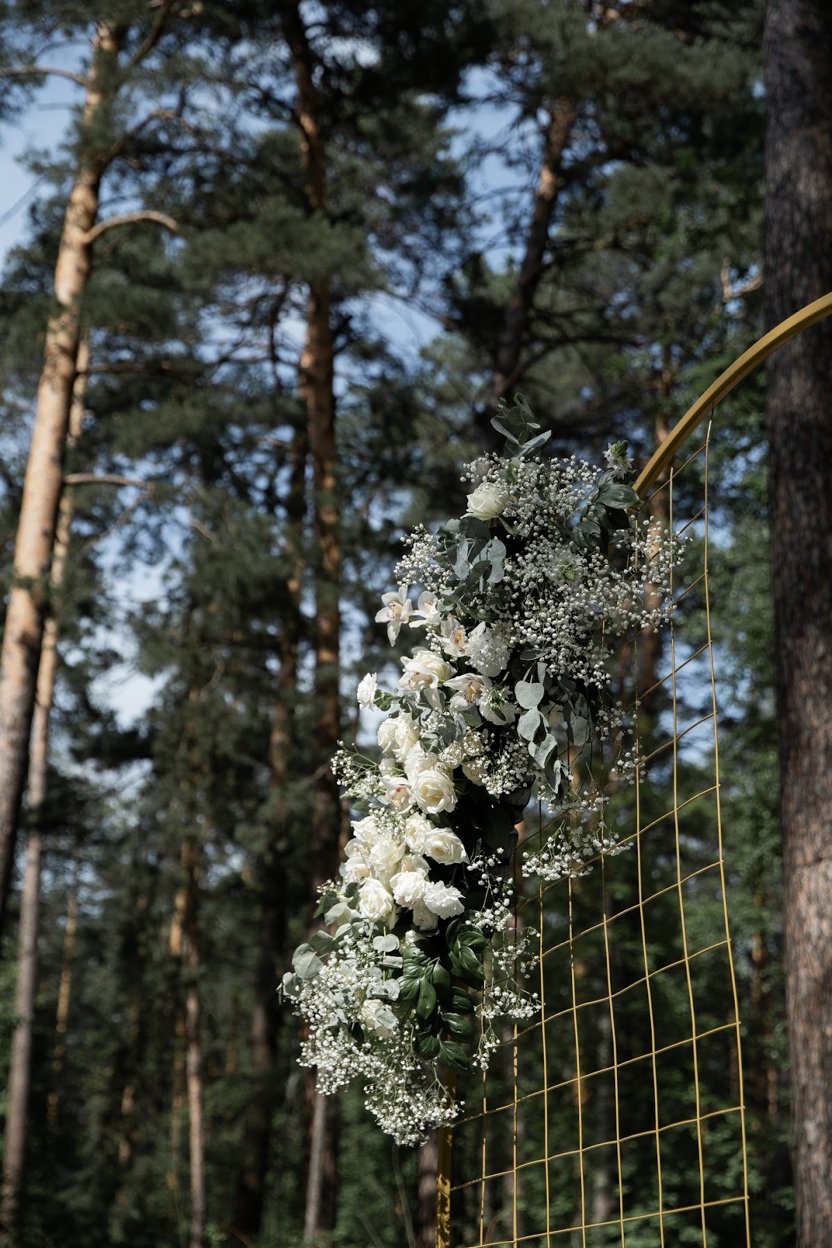 25.06.22 / Чкаловские Дачи