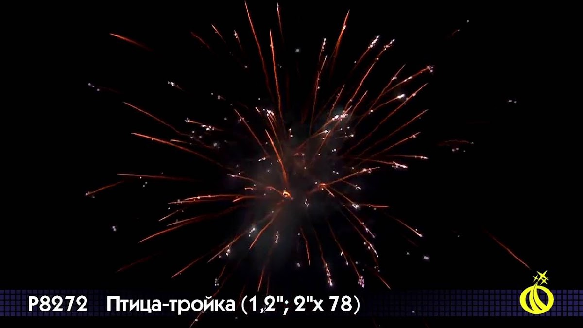 Портфолио: Свадьба