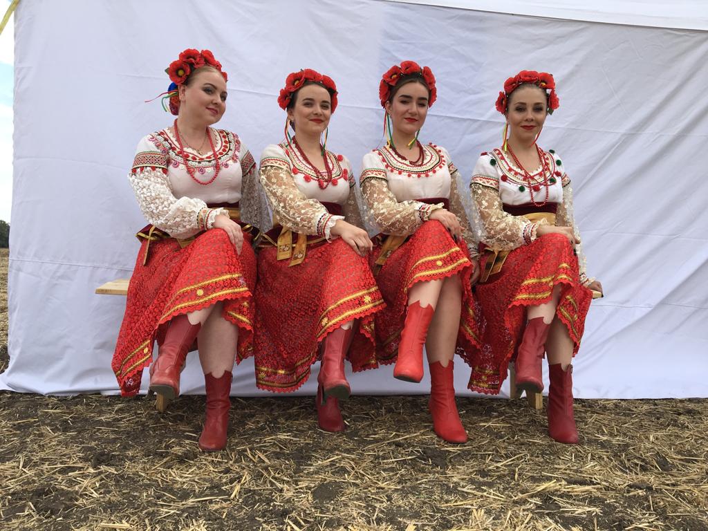 Портфолио: Свадьба