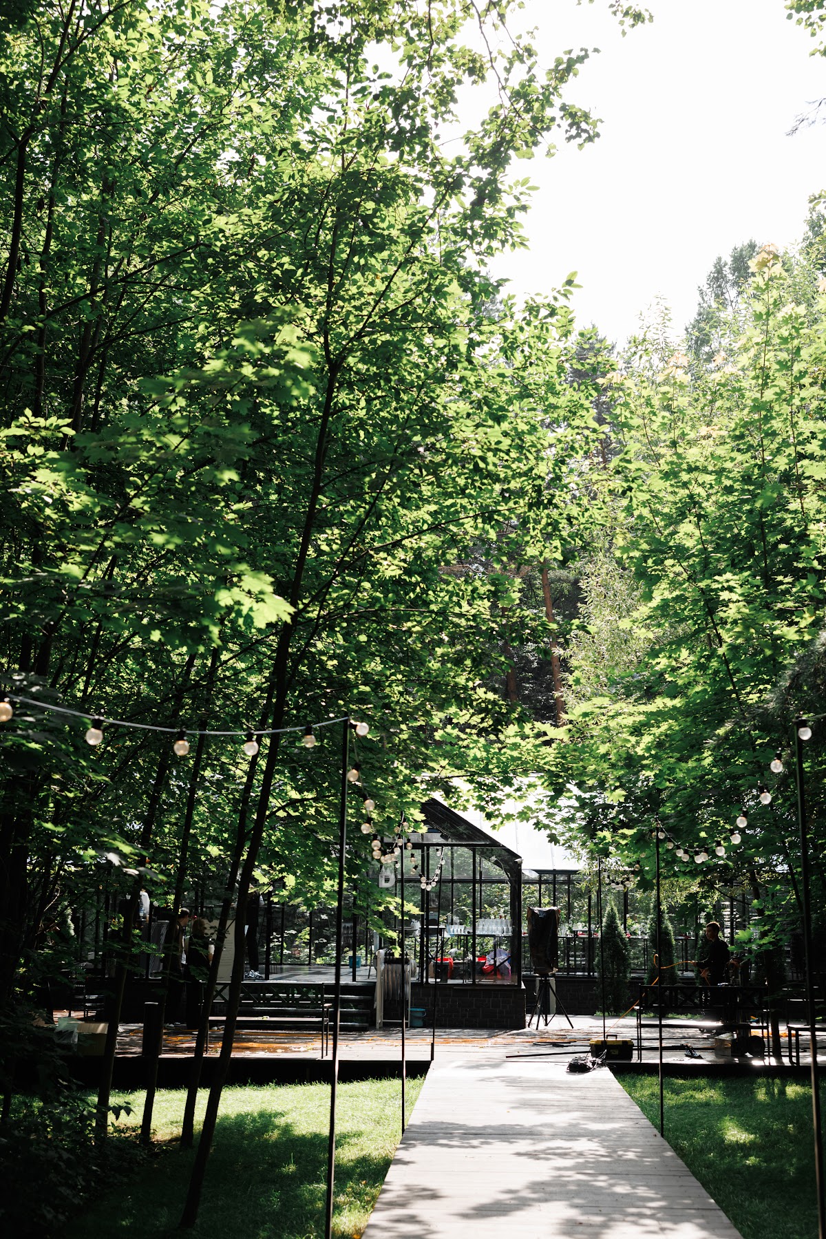 Координация Forest Dew