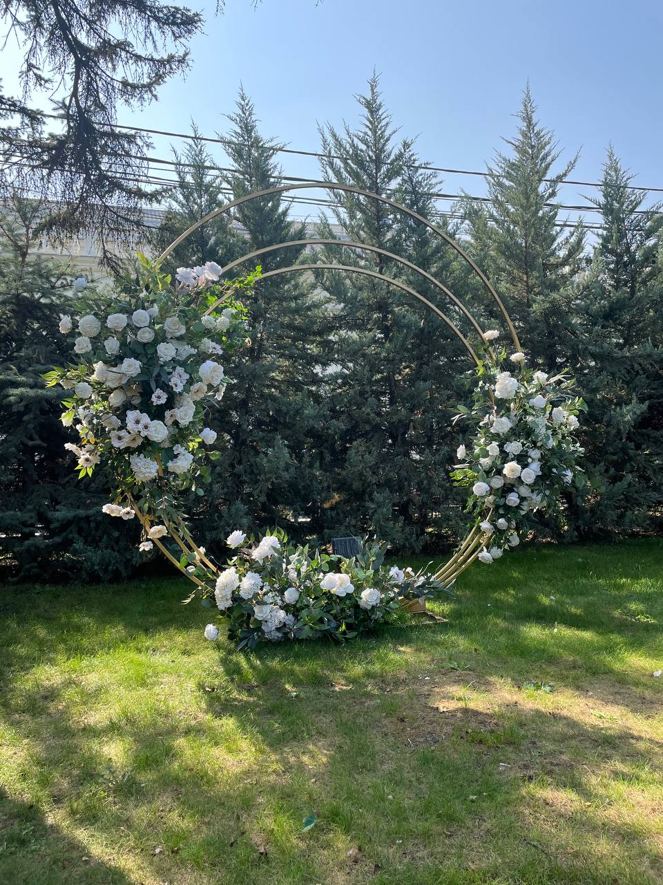 Кадр 71 из 85