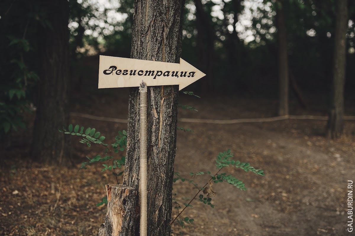 Портфолио