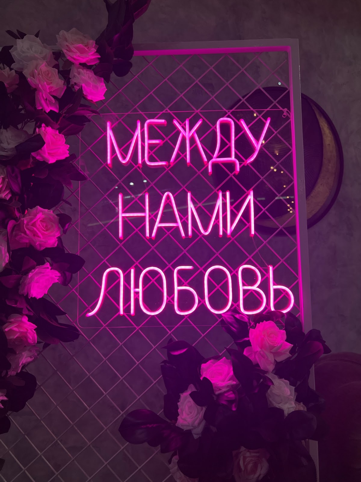 Кадр 31 из 31