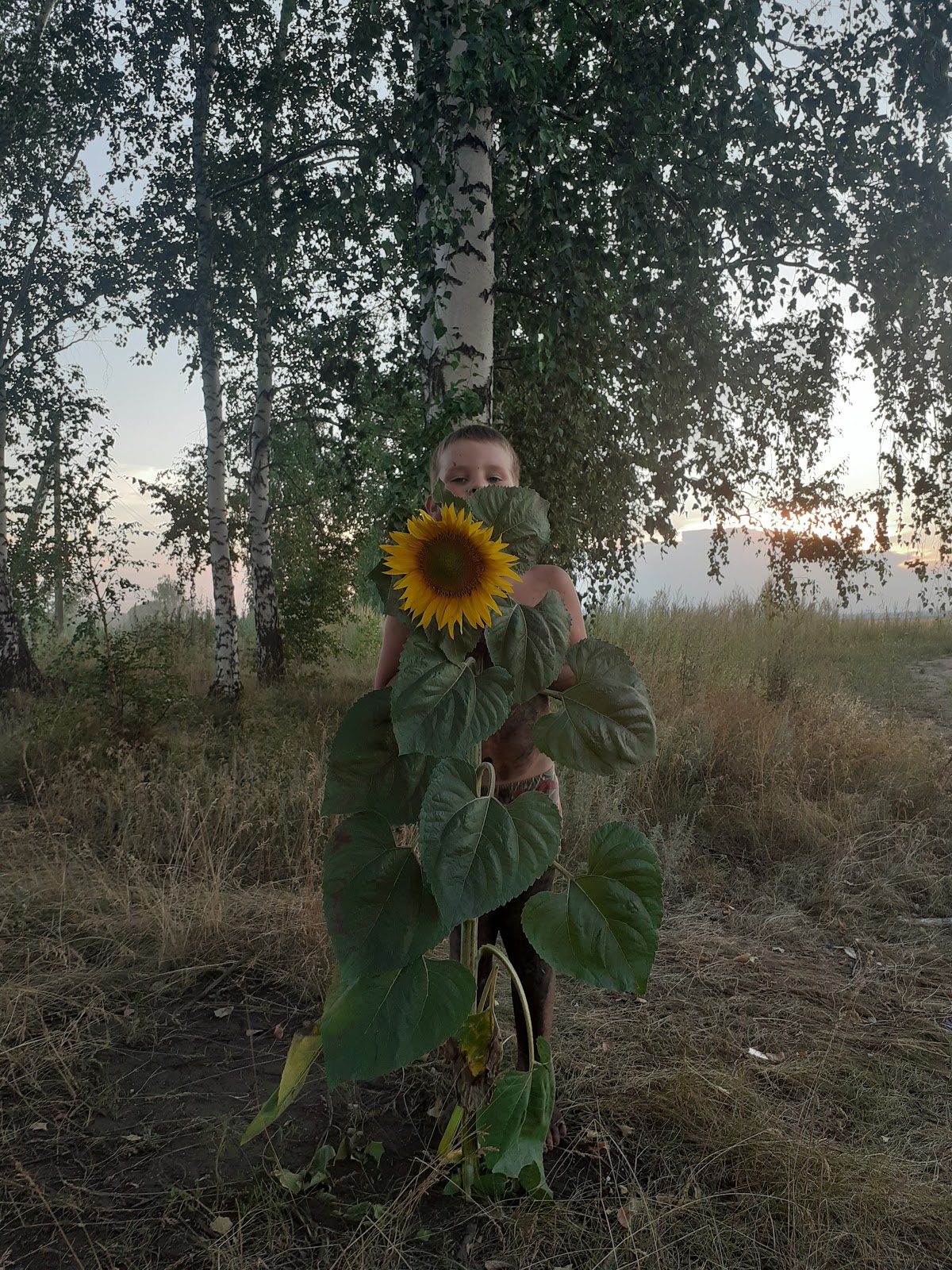 Мария Александрова