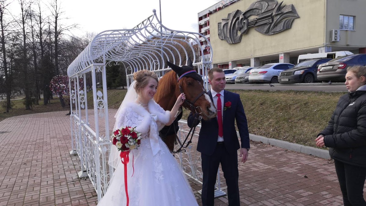 Свадебный отчёт