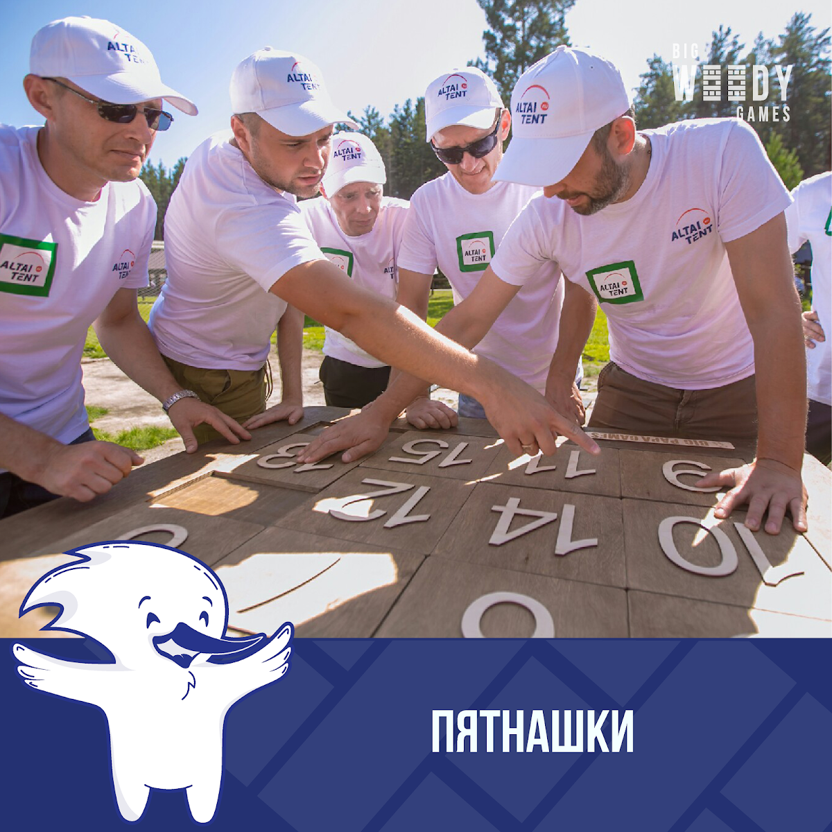 Портфолио