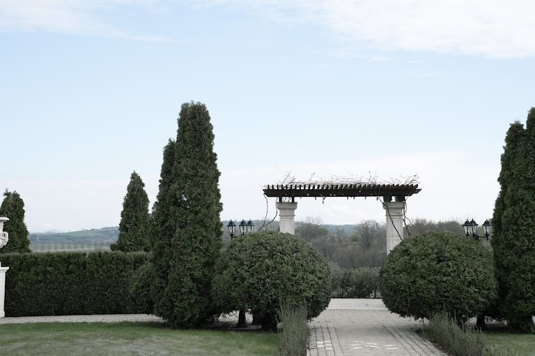 Кадр 34 из 45